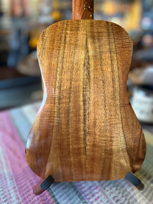 Dolphin Rosette - Concert