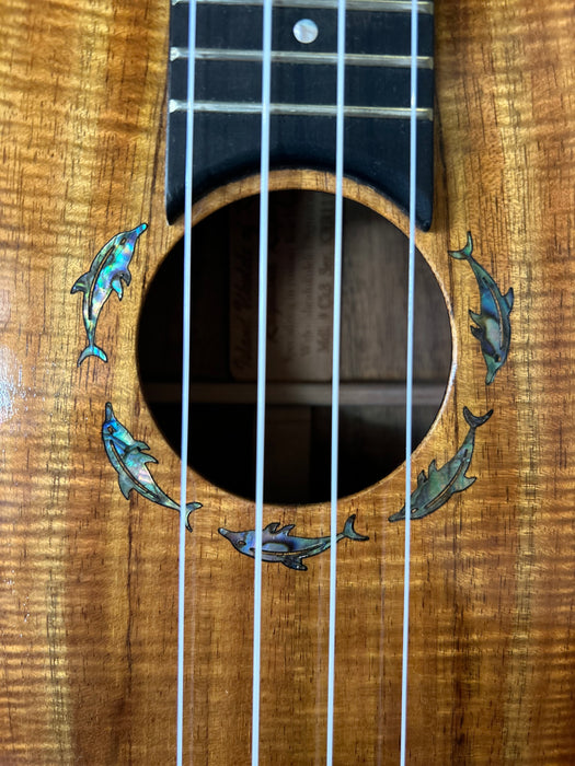 Dolphin Rosette - Concert