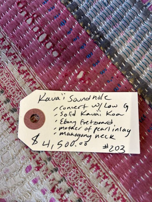 Kaua’i Soundhole - Concert