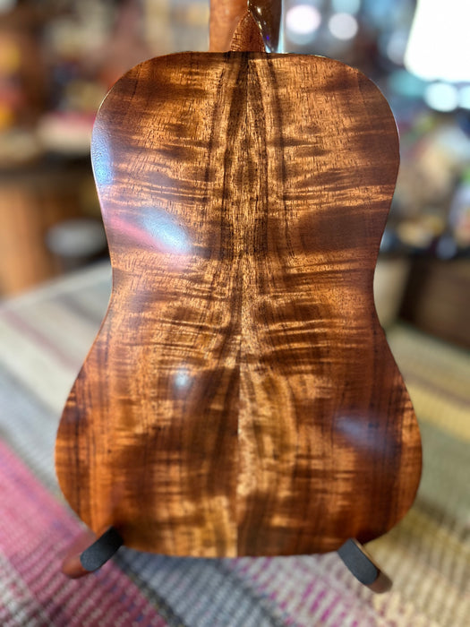 Kaua’i Soundhole - Concert