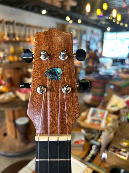 Shark Tooth Rosette - Concert