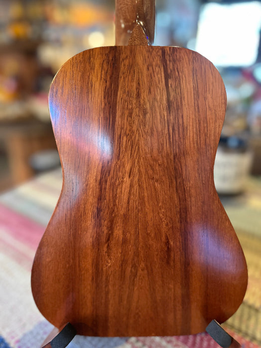 Shark Tooth Rosette - Concert