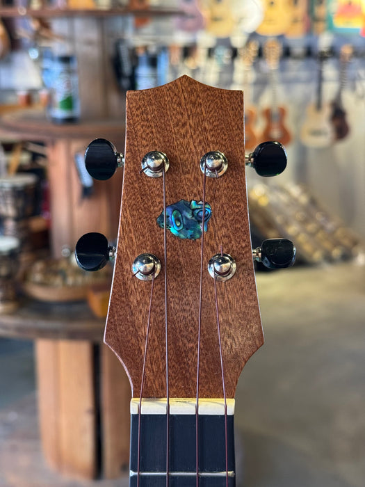 Plain Koa - Concert