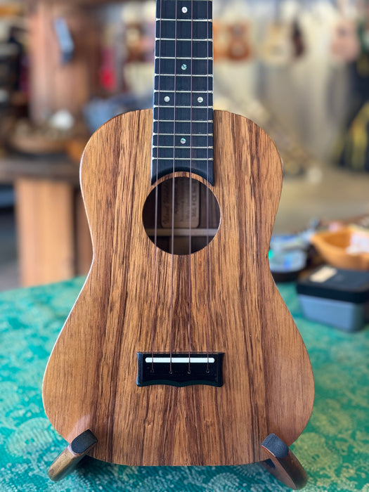 Plain Koa - Concert