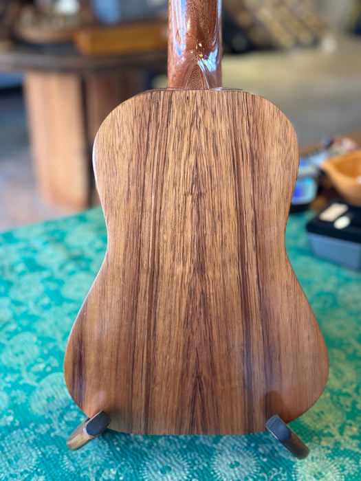 Plain Koa - Concert