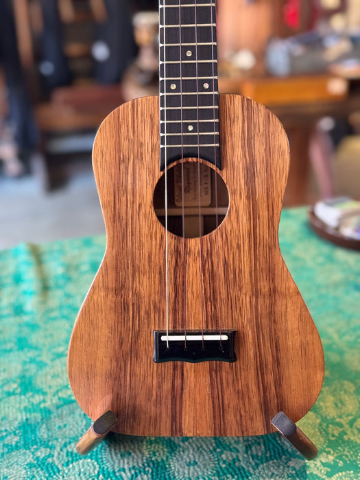 Plain Koa - Concert