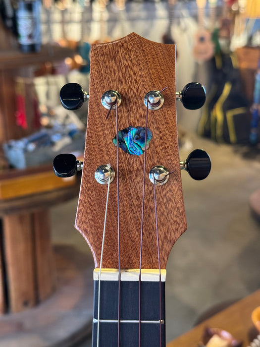Plain Koa - Concert