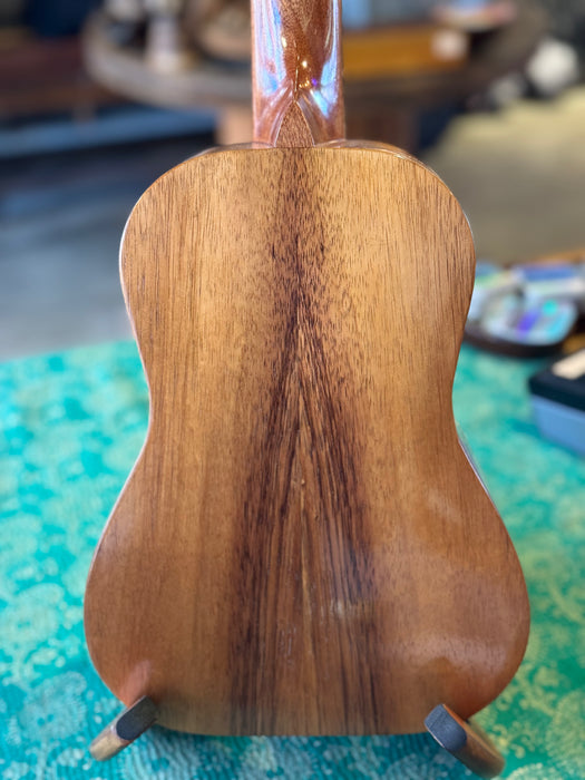 Plain Koa - Concert