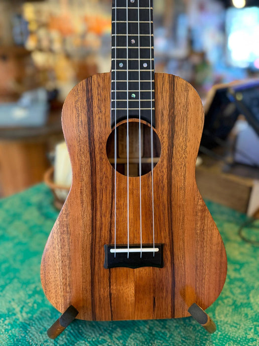 Plain Koa - Solid Concert, Ebony Fret board #403