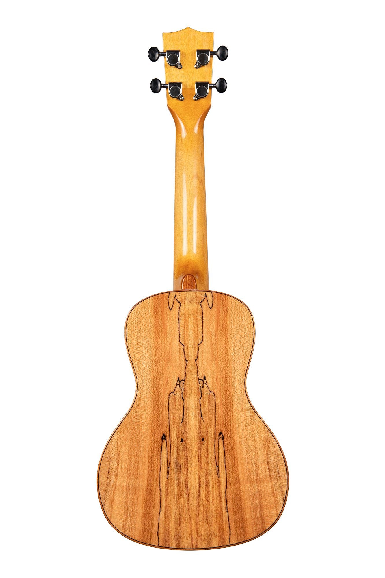 Solid Spruce & Flame Maple
